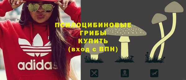 стаф Лабытнанги