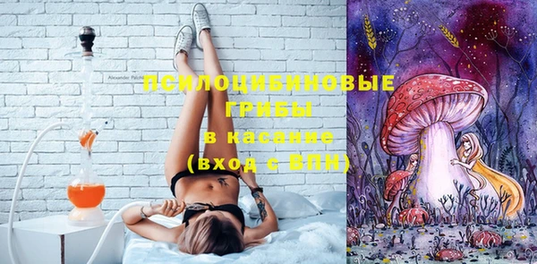 молекула духа Липки