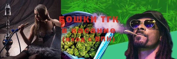 дживик Лагань