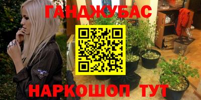 стаф Кунгур