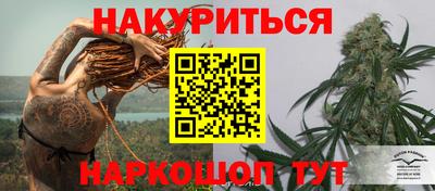 стаф Кунгур