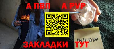 стаф Кунгур