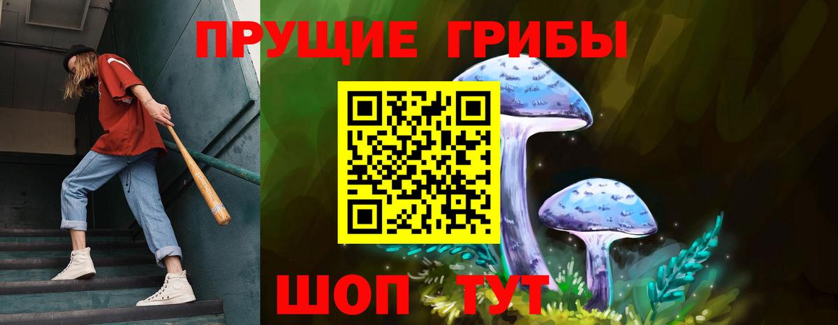 Псилоцибиновые грибы MAGIC MUSHROOMS  Вход с VPN  Янаул  Псилоцибиновые грибы Psilocybine cubensis 